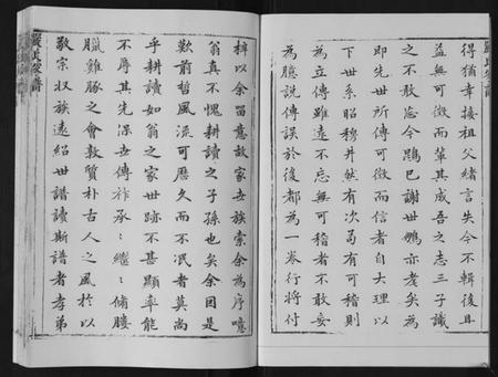 江苏严氏族谱-严氏家谱[不分卷].pdf电子版插图4