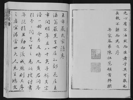 江苏严氏族谱-严氏家谱[不分卷].pdf电子版插图5