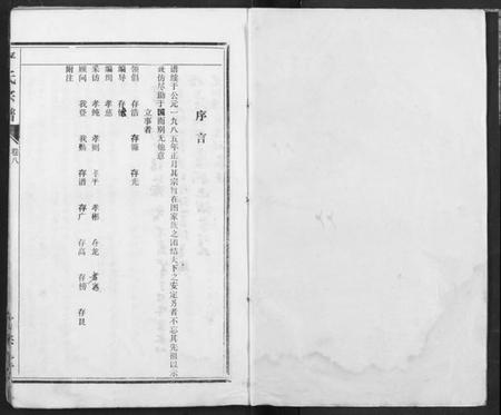 湖北严氏族谱-严氏宗谱.pdf电子版插图1