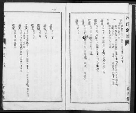 湖北严氏族谱-严氏宗谱.pdf电子版插图4