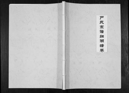 湖北严氏族谱-严氏宗谱细湖塘卷.pdf电子版插图