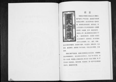 湖北严氏族谱-严氏宗谱细湖塘卷.pdf电子版插图2