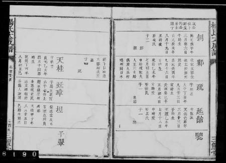 中国杨氏族谱-杨氏大成谱.pdf电子版插图3