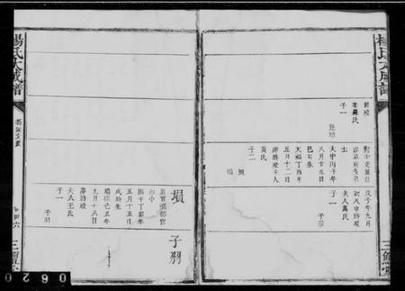 中国杨氏族谱-杨氏大成谱.pdf电子版插图4