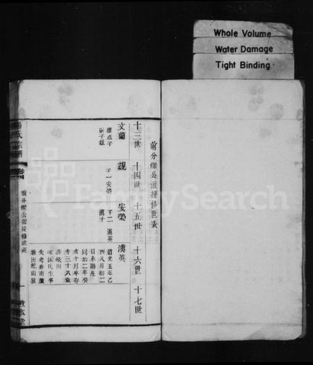 中国杨氏族谱-杨氏宗谱.pdf电子版插图1
