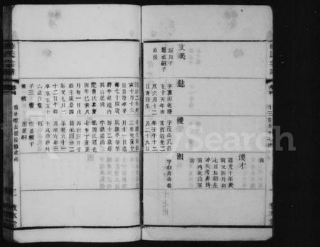 中国杨氏族谱-杨氏宗谱.pdf电子版插图2