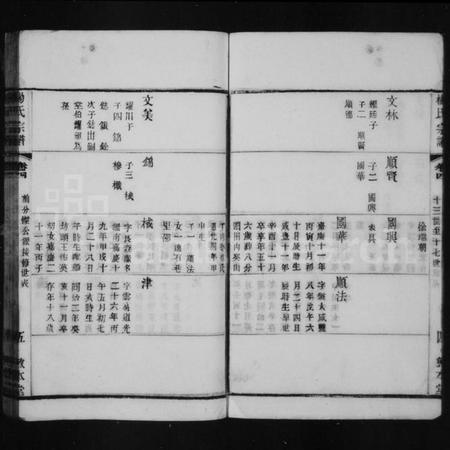 中国杨氏族谱-杨氏宗谱.pdf电子版插图5