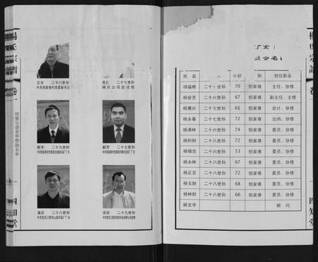 江苏杨氏族谱-杨氏宗谱.pdf电子版插图3