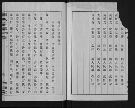 江苏杨氏族谱-杨氏宗谱.pdf电子版插图4