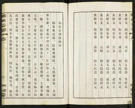 江苏杨氏族谱-杨氏宗谱.pdf电子版插图3