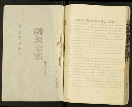 江苏杨氏族谱-杨氏宗谱.pdf电子版插图2