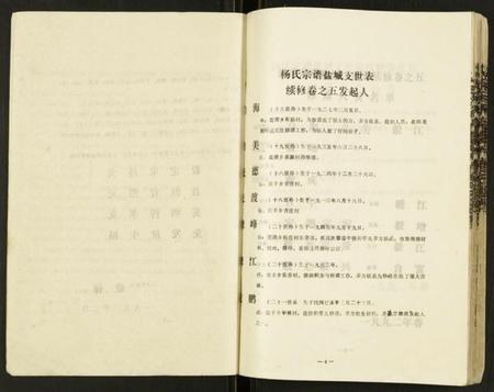 江苏杨氏族谱-杨氏宗谱.pdf电子版插图4