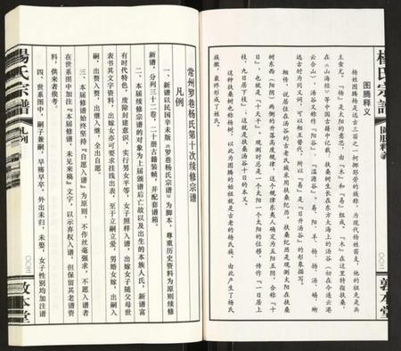 江苏杨氏族谱-杨氏宗谱.pdf电子版插图4