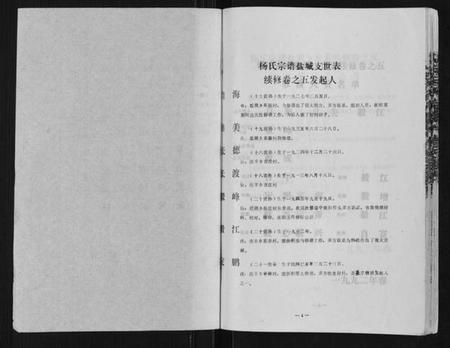 江苏杨氏族谱-杨氏宗谱.pdf电子版插图2