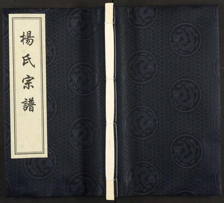江苏杨氏族谱-杨氏宗谱 [全1册].pdf电子版插图
