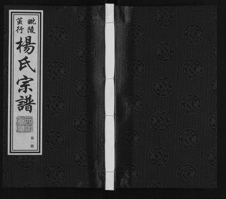 江苏杨氏族谱-杨氏宗谱[12卷首1卷].pdf电子版插图