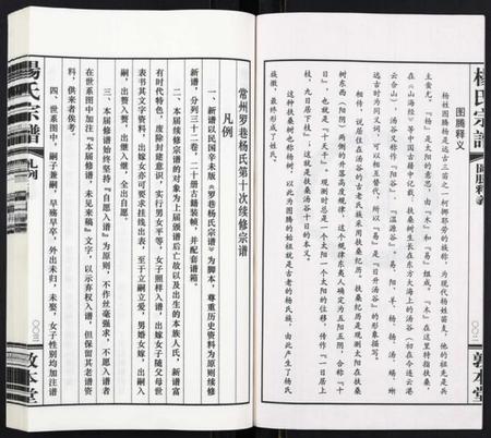 江苏杨氏族谱-杨氏宗谱[32卷首1卷].pdf电子版插图4