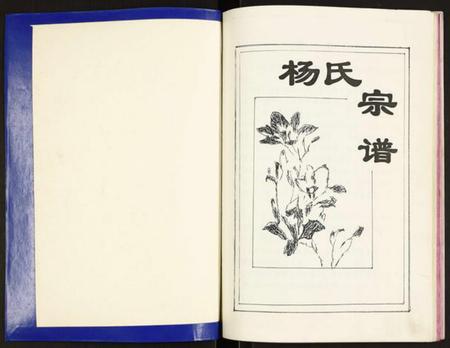 江苏杨氏族谱-杨氏氏宗谱.pdf电子版插图1
