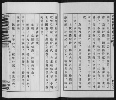 江苏杨氏族谱-鸿山杨氏顾山宗谱[15卷首2卷末1卷].pdf电子版插图3