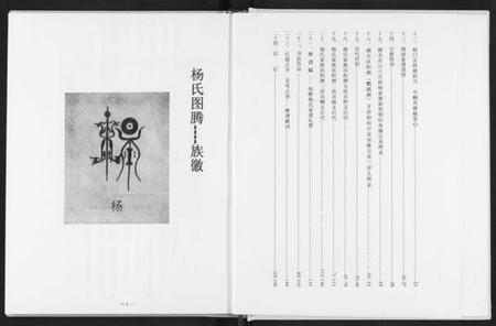 湖北杨氏族谱-杨氏大成宗谱.pdf电子版插图3