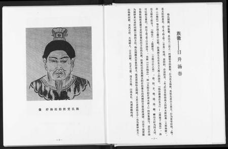 湖北杨氏族谱-杨氏大成宗谱.pdf电子版插图4