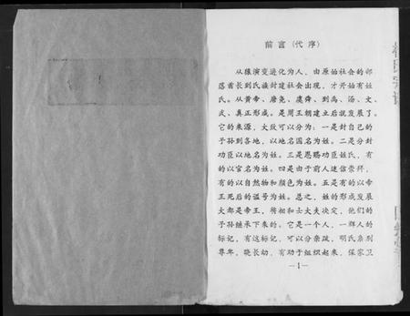 湖北杨氏族谱-杨氏宗谱.pdf电子版插图1