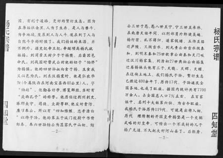 湖北杨氏族谱-杨氏宗谱.pdf电子版插图2