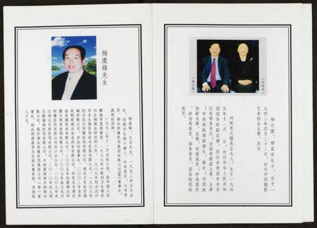 湖北杨氏族谱-杨氏宗谱.pdf电子版插图4