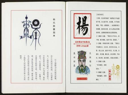 湖北杨氏族谱-杨氏宗谱.pdf电子版插图1