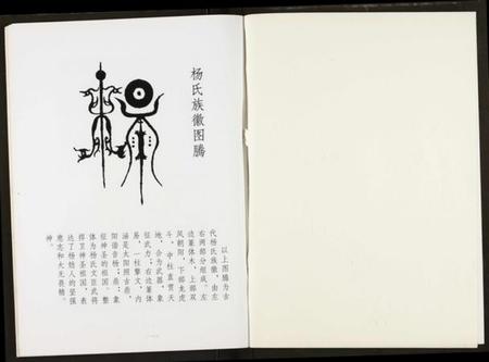 湖北杨氏族谱-杨氏宗谱.pdf电子版插图2