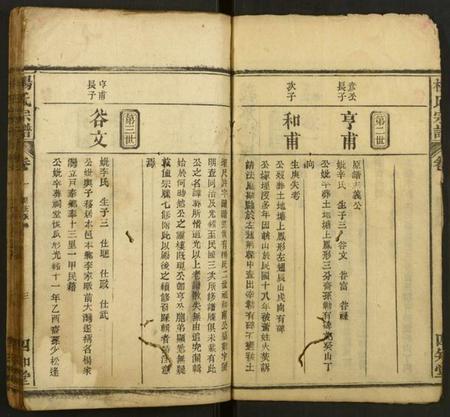 湖北杨氏族谱-杨氏宗谱.pdf电子版插图3