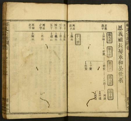 湖北杨氏族谱-杨氏宗谱.pdf电子版插图5