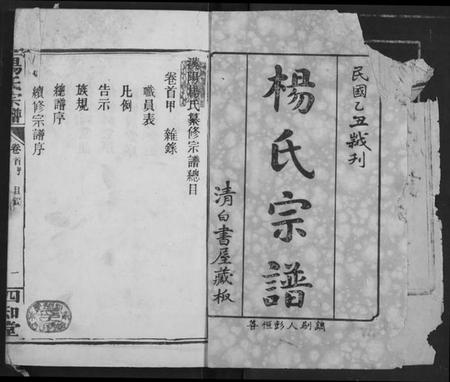 湖北杨氏族谱-杨氏宗谱.pdf电子版插图2