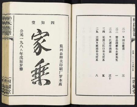 湖北杨氏族谱-杨氏族谱.pdf电子版插图3