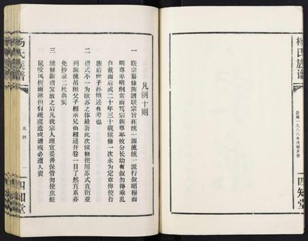 湖北杨氏族谱-杨氏族谱.pdf电子版插图4