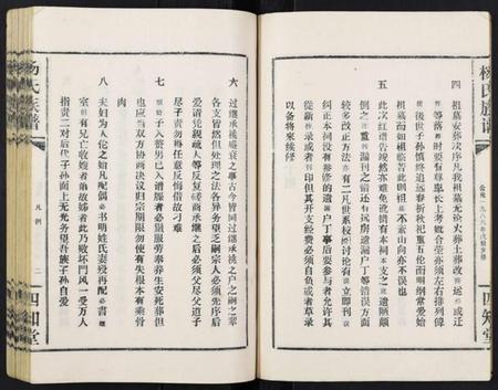 湖北杨氏族谱-杨氏族谱.pdf电子版插图5
