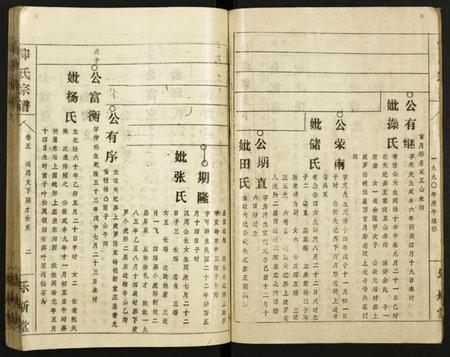 中国仰氏族谱-仰氏宗谱.pdf电子版插图2