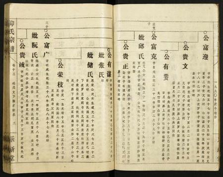 中国仰氏族谱-仰氏宗谱.pdf电子版插图3