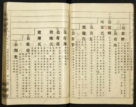 中国仰氏族谱-仰氏宗谱.pdf电子版插图4