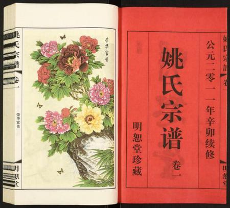 江苏姚氏族谱-姚氏宗谱.pdf电子版插图2