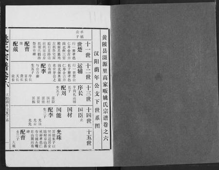 湖北姚氏族谱-姚氏宗谱.pdf电子版插图1