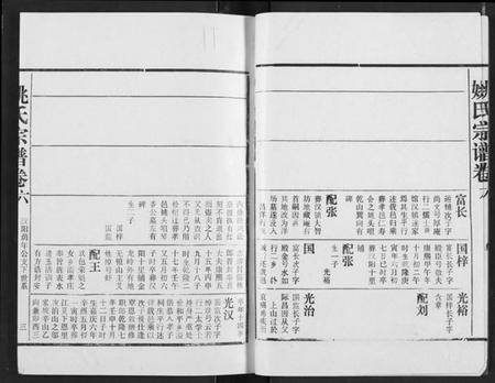 湖北姚氏族谱-姚氏宗谱.pdf电子版插图3