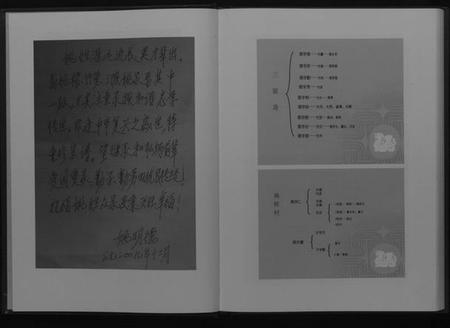 湖北姚氏族谱-安陆市三陂姚榨竹箩姚氏宗谱[不分卷].pdf电子版插图4