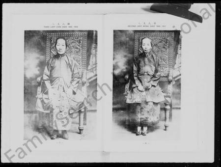 中国叶氏族谱-叶公春田传记.pdf电子版插图5