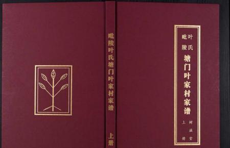 江苏叶氏族谱-毗陵塘门叶氏家谱[上下册].pdf电子版插图