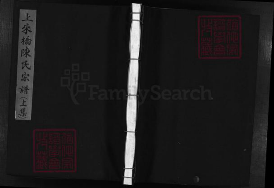 浙江省温州市乐清市陈氏族谱-上来桥陈氏宗谱 [上下集].pdf电子版