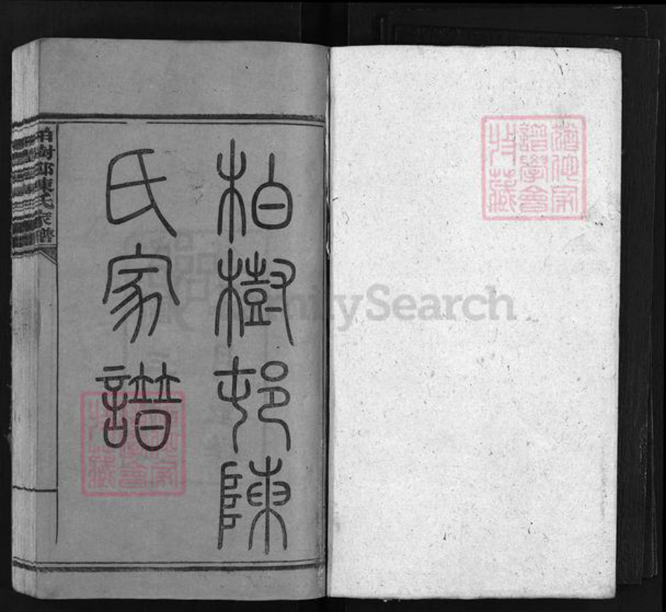 湖南省长沙市浏阳市浏阳陈氏族谱-柏树邨陈氏家谱 [14卷].pdf电子版插图1