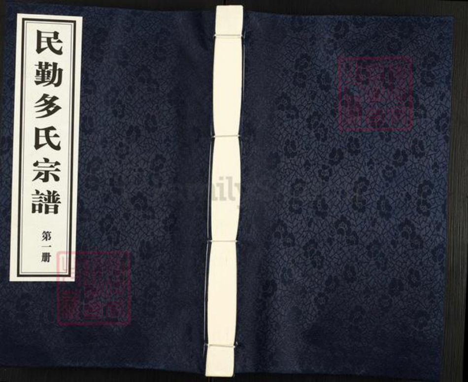 甘肃省武威民勤多氏族谱-民勤多氏宗谱.pdf电子版插图