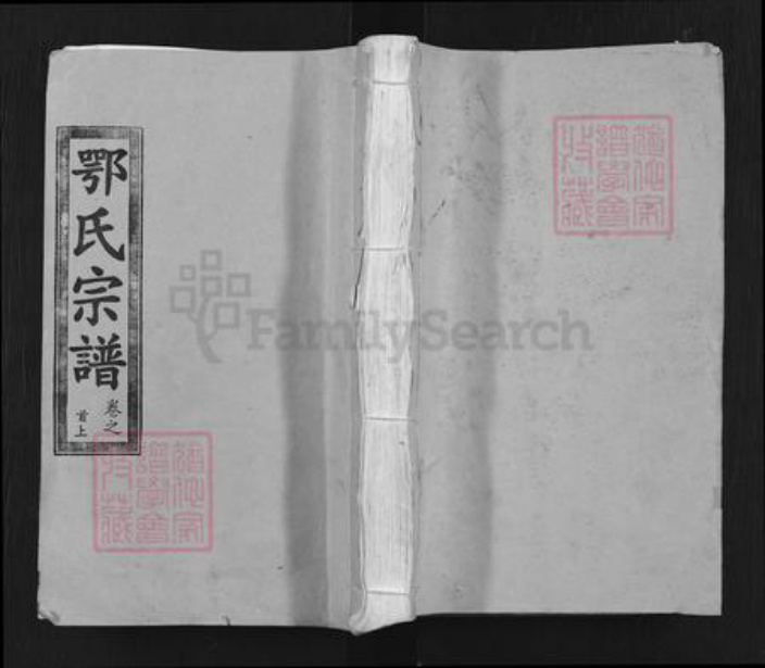 湖北省武汉市新洲区凤凰镇鄂氏进贤堂族谱-鄂氏宗谱.pdf电子版插图