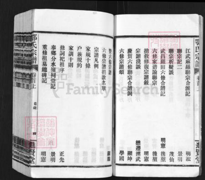 湖北省武汉市新洲区凤凰镇鄂氏进贤堂族谱-鄂氏宗谱.pdf电子版插图4